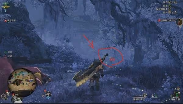 《怪物獵人：荒野》虹光獨角仙速刷方法