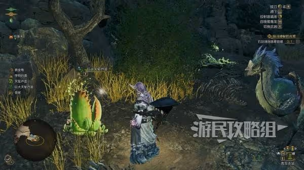 《怪物獵人:荒野》天塹蘆薈王地圖點位介紹