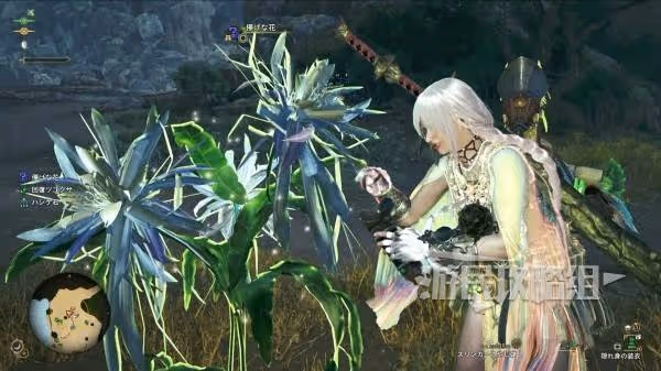 《怪物獵人:荒野》新版速刷一夜花月華粉