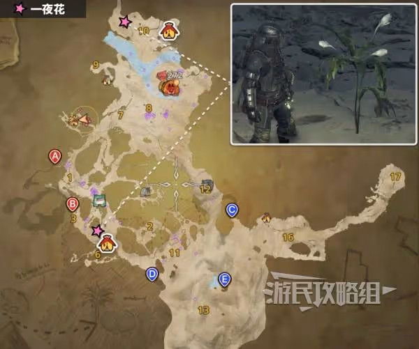 《怪物獵人:荒野》新版速刷一夜花月華粉