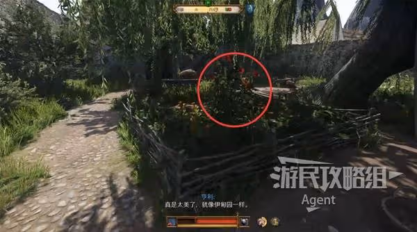 《天國：拯救2》條紋托尼支線任務攻略