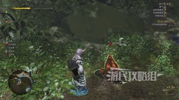 《怪物獵人：荒野》悠久的大緋琥珀獲取方法
