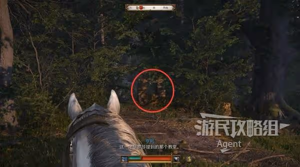 《天國:拯救2》羅莎的書支線任務攻略