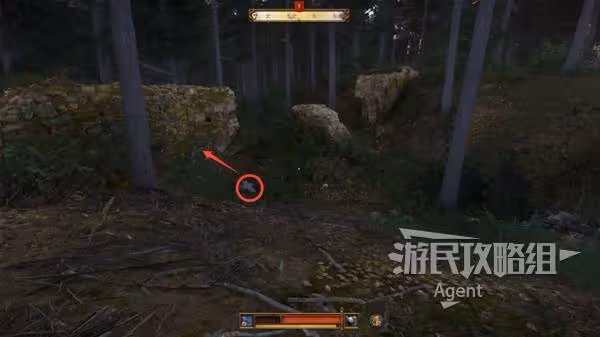 《天國:拯救2》羅莎的書支線任務攻略