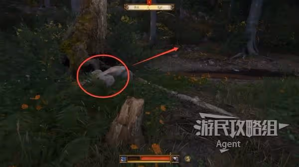《天國:拯救2》羅莎的書支線任務攻略