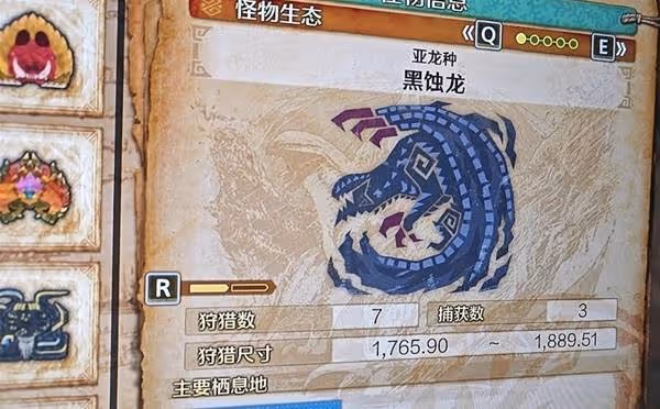 《怪物獵人:荒野》怪物通用打法及配裝推薦