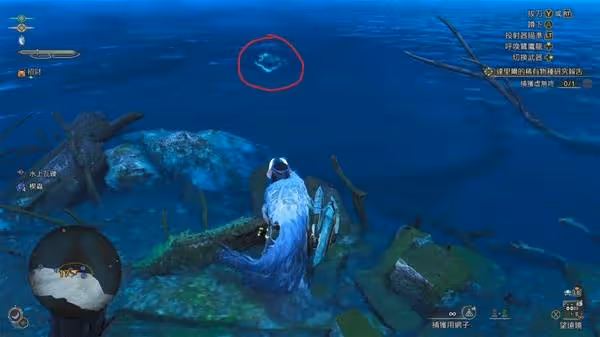 《怪物獵人:荒野》大型魚類垂釣攻略