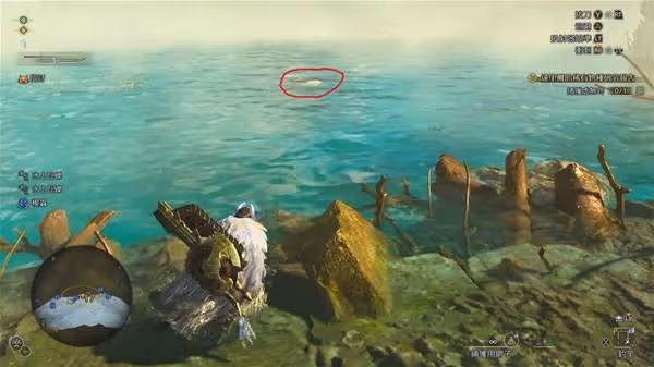 《怪物獵人:荒野》大型魚類垂釣攻略