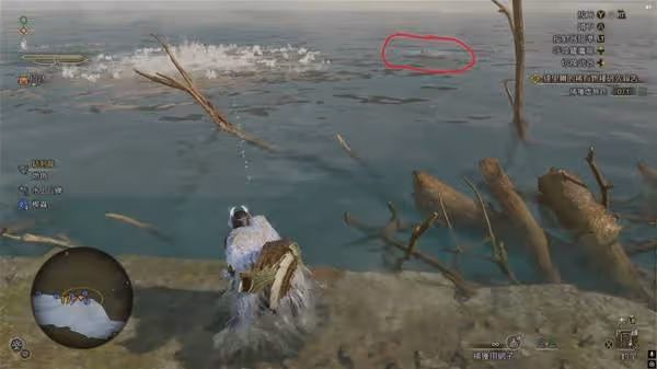 《怪物獵人:荒野》大型魚類垂釣攻略