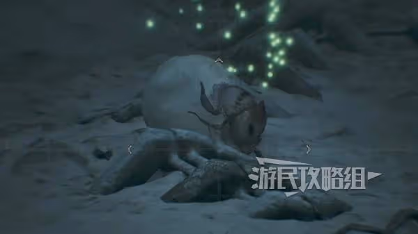 《怪物獵人:荒野》雪球蟲地圖點位及捕捉