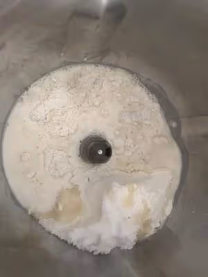牛奶哈斯