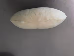 牛奶哈斯