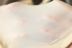 被鄰居追著問的蜂蜜脆底小麵包｜好吃到停不下來