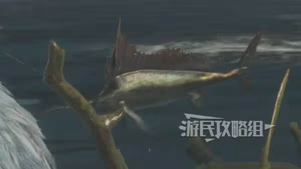 《怪物獵人：荒野》大王旗魚的鰭獲取方法