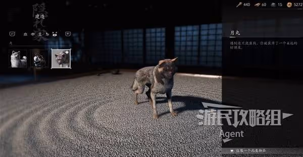 《刺客信條:影》忠犬伸冤支線任務攻略