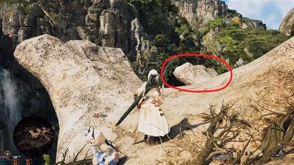 《怪物獵人:荒野》集會所超大柔毛秧雞位置