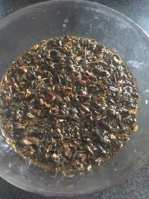 梅乾菜豬肉燒餅