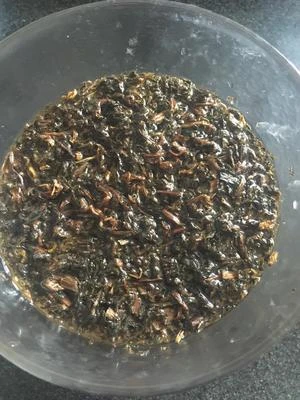 梅乾菜豬肉燒餅