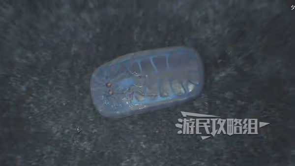 《怪物獵人：荒野》異國之空的王者任務攻略