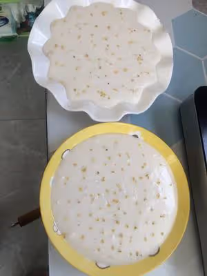 家庭版大米發糕