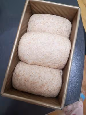 低脂健康全麥吐司