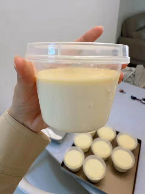 火爆全網的奶皮子酸奶零基礎做法