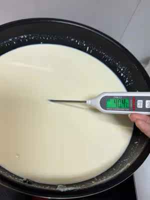 火爆全網的奶皮子酸奶零基礎做法