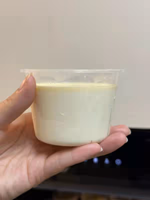 火爆全網的奶皮子酸奶零基礎做法