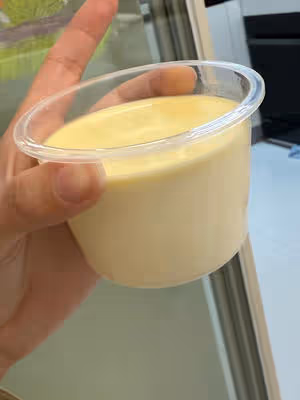 火爆全網的奶皮子酸奶零基礎做法