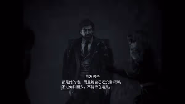 《光與影:33號遠征隊》背景介紹及玩法解析