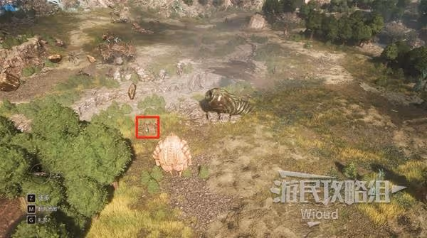 《光與影:33號遠征隊》往昔的光唱片獲取