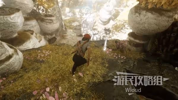 《光與影:33號遠征隊》明黃豐收探索攻略