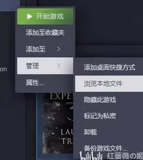 《光與影:33號遠征隊》MOD安裝教程