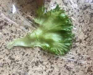 關曉彤三明治減脂！（內附保鮮膜包法！）