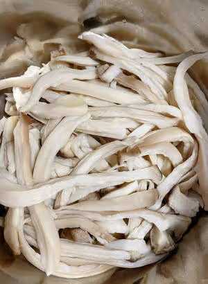 干煸杏鮑菇（多種口味做法）