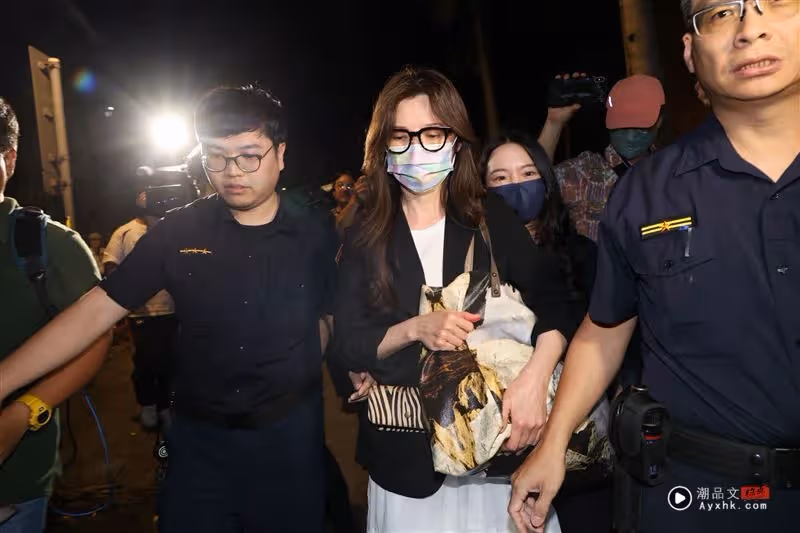 苦肉計成功！貴婦奈奈200萬交保免押　限制出境出海加掛電子腳鐐