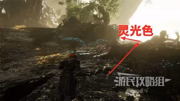 《光與影:33號遠征隊》重菱刺獲取方法