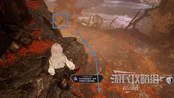 《光與影:33號遠征隊》面刺獲取方法