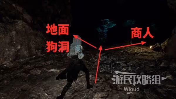 《光與影:33號遠征隊》雙禽首獲取方法