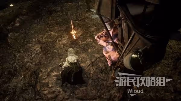 《光與影:33號遠征隊》雙禽首獲取方法