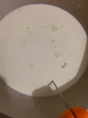 私房爆火的奶皮子酸奶來咯～