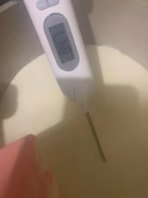 私房爆火的奶皮子酸奶來咯～