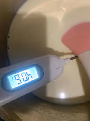 私房爆火的奶皮子酸奶來咯～