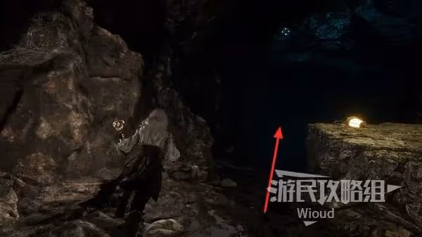 《光與影：33號遠征隊》呂涅繁葉結獲取方法