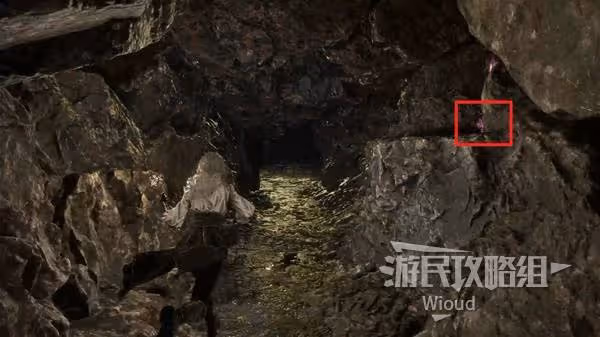 《光與影：33號遠征隊》熙艾爾雙禽首獲取