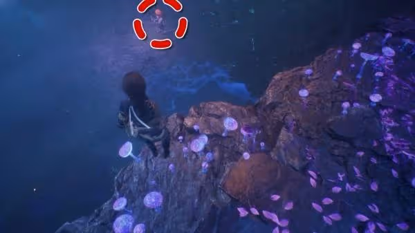 《光與影:33號遠征隊》埃斯基耶默偶位置