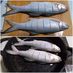 西紅柿午魚