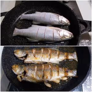 西紅柿午魚