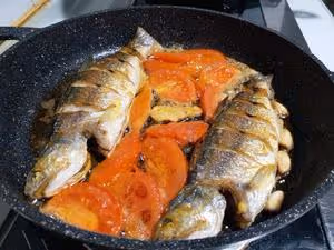 西紅柿午魚