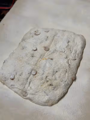 100%水量雞樅菌烤腸恰巴塔